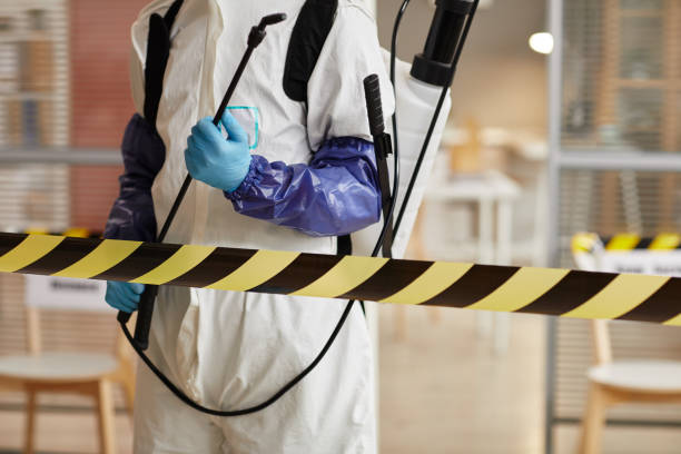 Professional Sewage Cleanup technician working in Highlands, CA